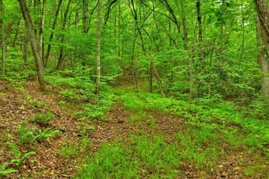 Build your dream home on this beautiful 2.21-acre lot in an on Old Toccoa Farm Golf Club in Georgia - for sale on GolfHomes.com, golf home, golf lot