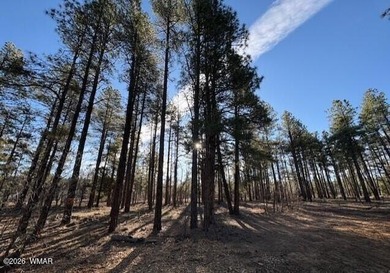 Let us build this (or similar) custom home on a gorgeous treed on Torreon Golf Club in Arizona - for sale on GolfHomes.com, golf home, golf lot