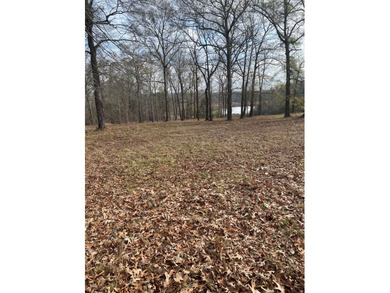 Almost 1 ac lot that sits high with a lot of view of a couple of on Southern Hills Golf Club in Georgia - for sale on GolfHomes.com, golf home, golf lot