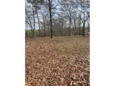 Almost 1 ac lot that sits high with a lot of view of a couple of on Southern Hills Golf Club in Georgia - for sale on GolfHomes.com, golf home, golf lot