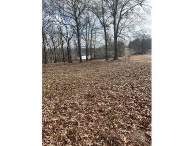 Beautiful Rolling lot with long range view of the area. Can be on Southern Hills Golf Club in Georgia - for sale on GolfHomes.com, golf home, golf lot