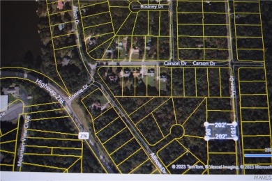 If you're looking for property in the Lakeview/McCalla area on Lakeview Country Club in Alabama - for sale on GolfHomes.com, golf home, golf lot