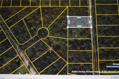 If you're looking for property in the Lakeview/McCalla area on Lakeview Country Club in Alabama - for sale on GolfHomes.com, golf home, golf lot