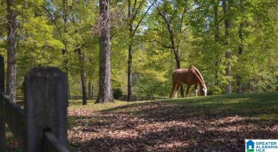 Welcome to the AMAZING SOUTH OAK DEVELOPMENT where lifestyle has on Shoal Creek Golf Course in Alabama - for sale on GolfHomes.com, golf home, golf lot