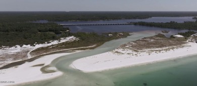 As the Florida market continues to heat up, the Gated Community on Sharks Tooth Golf Club in Florida - for sale on GolfHomes.com, golf home, golf lot