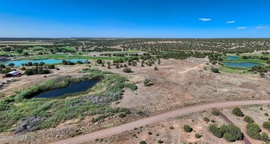 Your very own pond! Absolutely Gorgeous property close to Birdy on Silver Creek Golf Club in Arizona - for sale on GolfHomes.com, golf home, golf lot