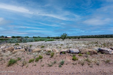 Your very own pond! Absolutely Gorgeous property close to Birdy on Silver Creek Golf Club in Arizona - for sale on GolfHomes.com, golf home, golf lot