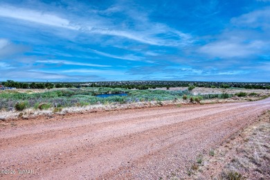 Your very own pond! Absolutely Gorgeous property close to Birdy on Silver Creek Golf Club in Arizona - for sale on GolfHomes.com, golf home, golf lot