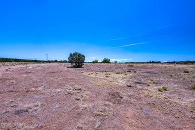Gorgeous piece of property with incredible views close to Birdie on Silver Creek Golf Club in Arizona - for sale on GolfHomes.com, golf home, golf lot