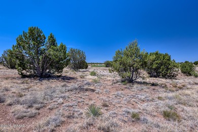 Gorgeous piece of property with incredible views close to Birdie on Silver Creek Golf Club in Arizona - for sale on GolfHomes.com, golf home, golf lot
