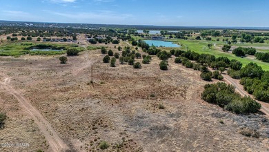 Gorgeous piece of property with incredible views close to Birdie on Silver Creek Golf Club in Arizona - for sale on GolfHomes.com, golf home, golf lot