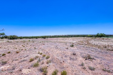 Gorgeous piece of property with incredible views close to Birdie on Silver Creek Golf Club in Arizona - for sale on GolfHomes.com, golf home, golf lot
