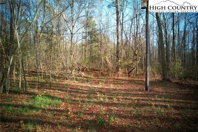 Located along the #3 Fairway at Jefferson Landing, In the on Jefferson Landing Club in North Carolina - for sale on GolfHomes.com, golf home, golf lot