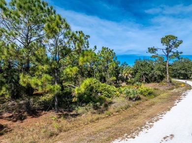 LAKE VIEW LOT! Electric is running on this road. Easy access to on Seminole Lakes Country Club in Florida - for sale on GolfHomes.com, golf home, golf lot
