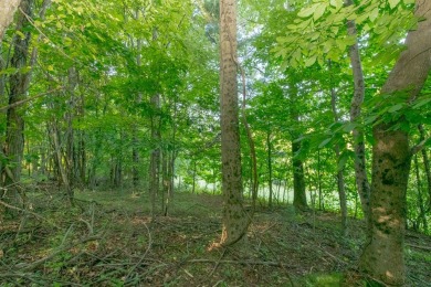 This is a fantastic building lot that overlooks the green on Skyland Lakes Golf Course in Virginia - for sale on GolfHomes.com, golf home, golf lot