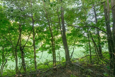 This is a fantastic building lot that overlooks the green on Skyland Lakes Golf Course in Virginia - for sale on GolfHomes.com, golf home, golf lot