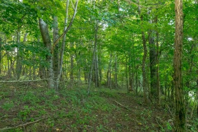 This is a fantastic building lot that overlooks the green on Skyland Lakes Golf Course in Virginia - for sale on GolfHomes.com, golf home, golf lot