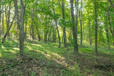 This is a fantastic building lot that overlooks the green on Skyland Lakes Golf Course in Virginia - for sale on GolfHomes.com, golf home, golf lot