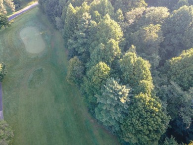 This is a fantastic building lot that overlooks the green on Skyland Lakes Golf Course in Virginia - for sale on GolfHomes.com, golf home, golf lot