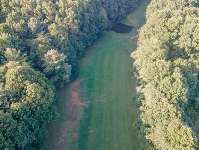 This is a fantastic building lot that overlooks the green on Skyland Lakes Golf Course in Virginia - for sale on GolfHomes.com, golf home, golf lot