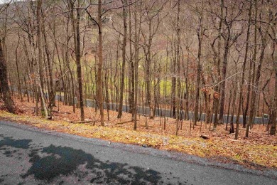 Very Nice building lot. ADJOINING LOT ALSO AVAILABLE! Ideal for on Woodstone Meadows Golf Course At Massanutten in Virginia - for sale on GolfHomes.com, golf home, golf lot