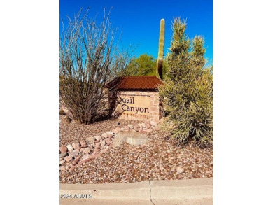 Discover the perfect custom home site to build your dream home on Superstition Mountain Club - Lost Gold in Arizona - for sale on GolfHomes.com, golf home, golf lot