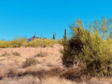 Discover the perfect custom home site to build your dream home on Superstition Mountain Club - Lost Gold in Arizona - for sale on GolfHomes.com, golf home, golf lot