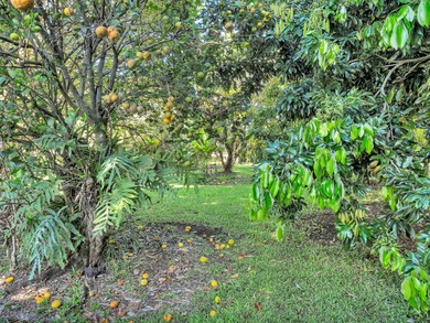 This spacious, classic midcentury Hilo home has been in the same on Hilo Municipal Golf Course in Hawaii - for sale on GolfHomes.com, golf home, golf lot