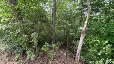 Discover the potential of Lot 268, a prime homesite nestled on The Trail At Chickasaw Pointe in South Carolina - for sale on GolfHomes.com, golf home, golf lot