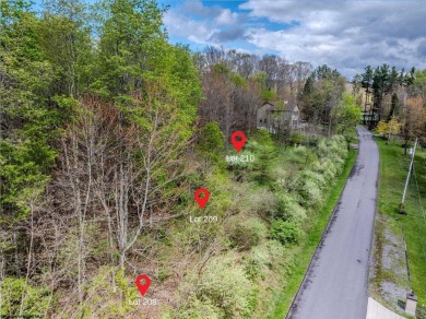 Have you been searching for the perfect location for your LAKE on Alpine Lake Resort in West Virginia - for sale on GolfHomes.com, golf home, golf lot