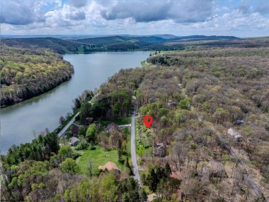 Have you been searching for the perfect location for your LAKE on Alpine Lake Resort in West Virginia - for sale on GolfHomes.com, golf home, golf lot