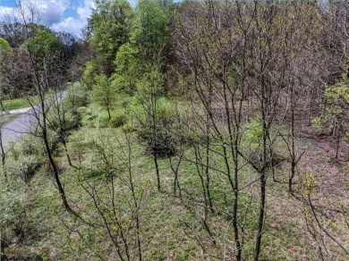 Have you been searching for the perfect location for your LAKE on Alpine Lake Resort in West Virginia - for sale on GolfHomes.com, golf home, golf lot