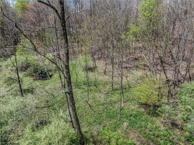 Have you been searching for the perfect location for your LAKE on Alpine Lake Resort in West Virginia - for sale on GolfHomes.com, golf home, golf lot
