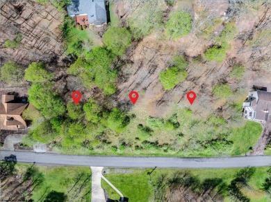 Have you been searching for the perfect location for your LAKE on Alpine Lake Resort in West Virginia - for sale on GolfHomes.com, golf home, golf lot