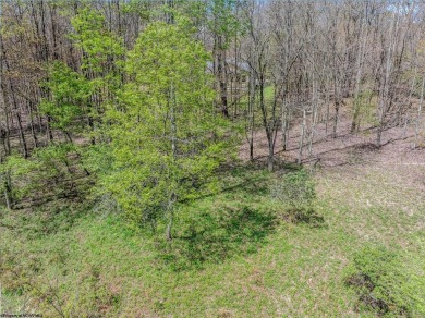 Have you been searching for the perfect location for your LAKE on Alpine Lake Resort in West Virginia - for sale on GolfHomes.com, golf home, golf lot