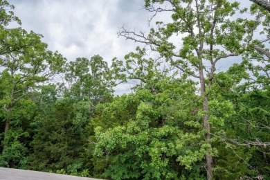 Room to grow in Prestigious StoneBridge Village!Welcome to 343 on Ledgestone Country Club and Golf Course in Missouri - for sale on GolfHomes.com, golf home, golf lot