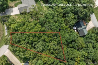 Build Your Dream Home in the Heart of Lake Living at Incline on Incline Village Golf Course in Missouri - for sale on GolfHomes.com, golf home, golf lot