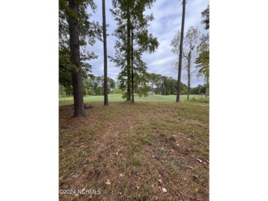 Plan your dream home on this prime residential lot for sale in on Cypress Landing Golf Club in North Carolina - for sale on GolfHomes.com, golf home, golf lot