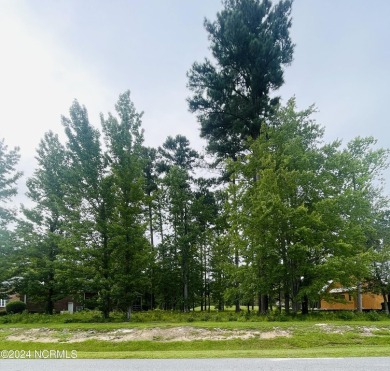 Plan your dream home on this prime residential lot for sale in on Cypress Landing Golf Club in North Carolina - for sale on GolfHomes.com, golf home, golf lot