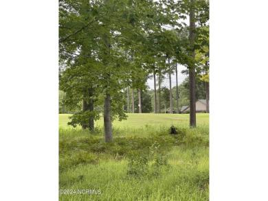 Plan your dream home on this prime residential lot for sale in on Cypress Landing Golf Club in North Carolina - for sale on GolfHomes.com, golf home, golf lot