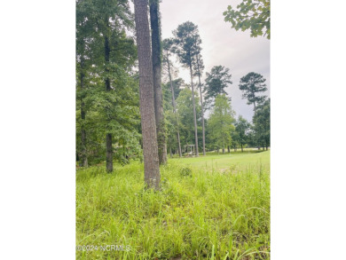 Plan your dream home on this prime residential lot for sale in on Cypress Landing Golf Club in North Carolina - for sale on GolfHomes.com, golf home, golf lot