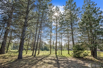 Build your dream mountain retreat on this beautiful homesite on Suncadia Resort in Washington - for sale on GolfHomes.com, golf home, golf lot