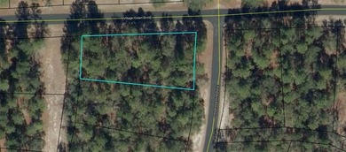 0.53 of an acre inside the gates of Coopers Point at Shellman on Sapelo Hammock Golf Club in Georgia - for sale on GolfHomes.com, golf home, golf lot