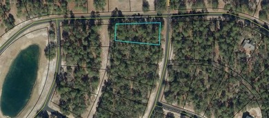0.53 of an acre inside the gates of Coopers Point at Shellman on Sapelo Hammock Golf Club in Georgia - for sale on GolfHomes.com, golf home, golf lot