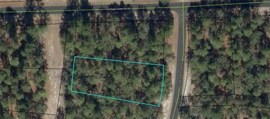 0.53 of an acre inside the gates of Coopers Point at Shellman on Sapelo Hammock Golf Club in Georgia - for sale on GolfHomes.com, golf home, golf lot