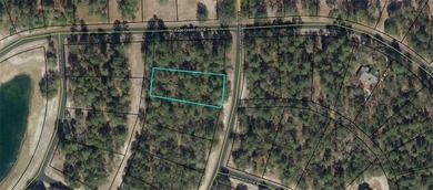 0.53 of an acre inside the gates of Coopers Point at Shellman on Sapelo Hammock Golf Club in Georgia - for sale on GolfHomes.com, golf home, golf lot