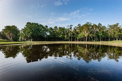 NOT IN A FLOOD ZONE! NO STORM DAMAGE from recent hurricanes NO on Innisbrook Resort and Golf Club in Florida - for sale on GolfHomes.com, golf home, golf lot