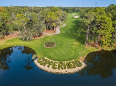 NOT IN A FLOOD ZONE! NO STORM DAMAGE from recent hurricanes NO on Innisbrook Resort and Golf Club in Florida - for sale on GolfHomes.com, golf home, golf lot