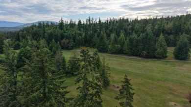 Nestled along the scenic shores of Discovery Bay and the on Discovery Bay Golf Club in Washington - for sale on GolfHomes.com, golf home, golf lot