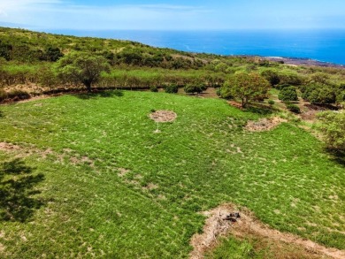 Located on the Kona Coast of Hawaii Island, Hokuli'a is a on Club At Hokulia in Hawaii - for sale on GolfHomes.com, golf home, golf lot
